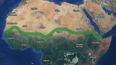 Tracé du grand mur vert d'arbres en Afrique