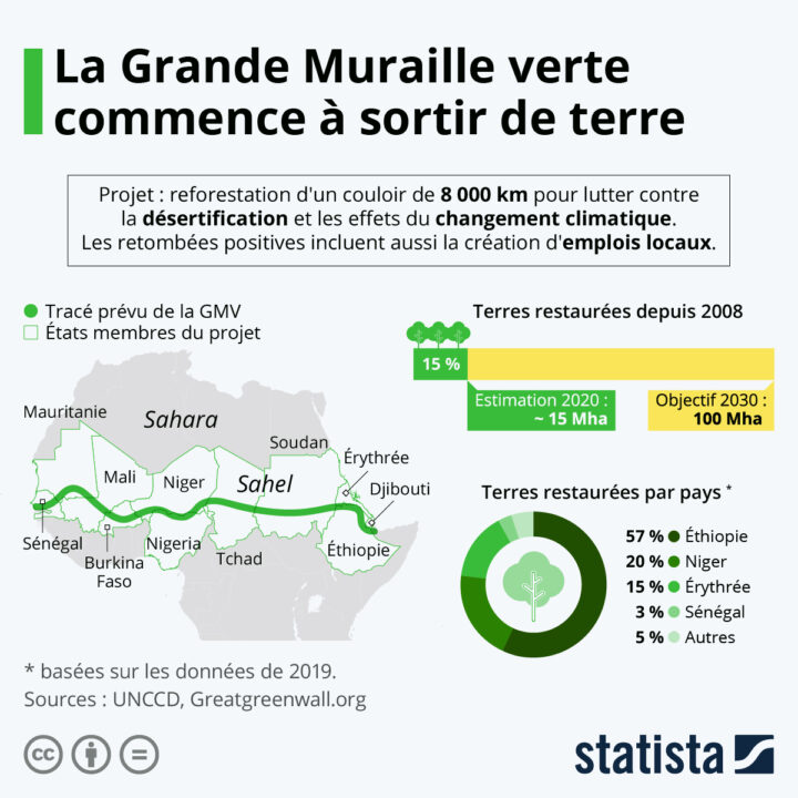 Infographie sur l'évolution du grand mur vert d'arbres en Afrique