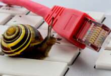 Un escargot avec un câble RJ45 sur un clavier
