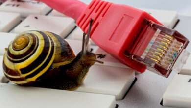 Un escargot avec un câble RJ45 sur un clavier