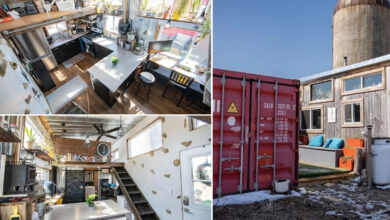 Une magnifique maison container