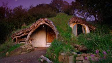 La maison de Hobbit de Simon Dale