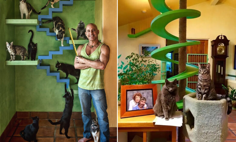 La maison ZenByCat, les chats et son propriétaire