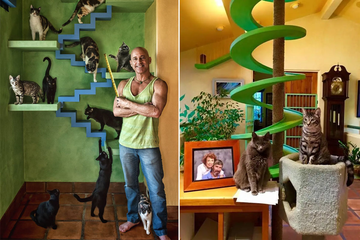 La maison ZenByCat, les chats et son propriétaire