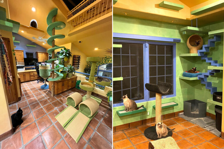 Une décoration de maison pour les chats