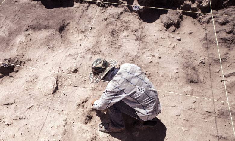 Un archéologue faisant des fouilles