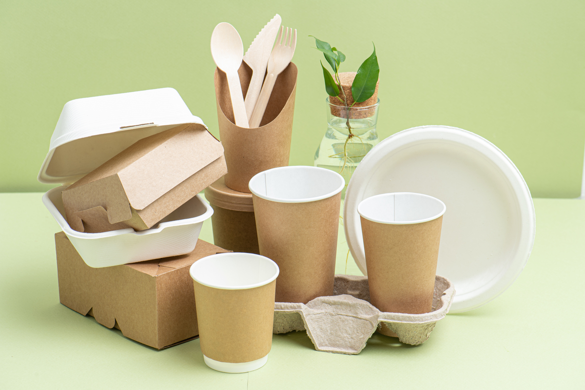 De la vaisselle en carton recyclable