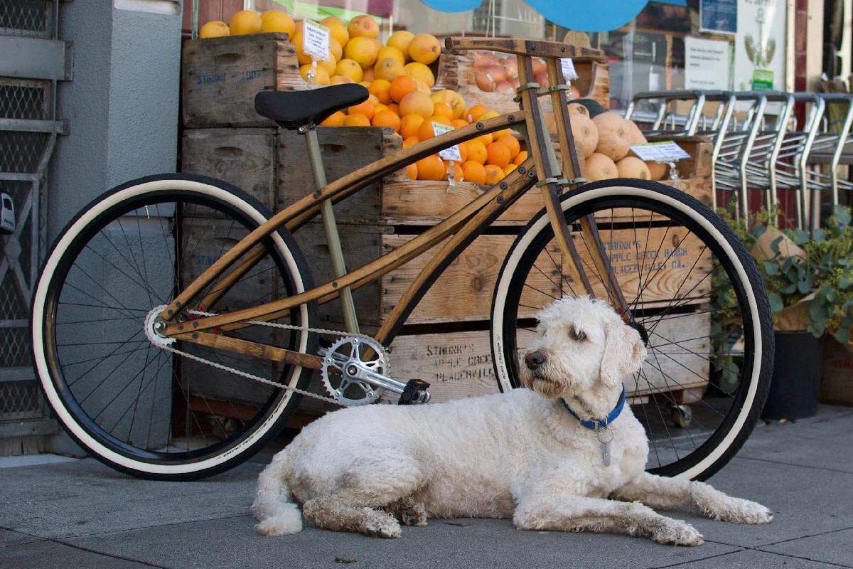 Un vélo en bambou avec un chien couché