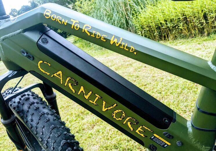 CARNIVORE by STALKER Mad Bike® - Le Fat Bike Électrique le Plus Puissant au Monde 1000W 48V 30Ah 160Nm 120km d'autonomie