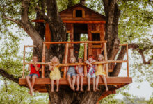 des enfants dans une cabane dans les arbres