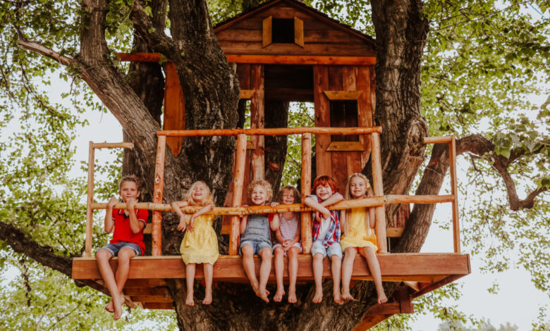 des enfants dans une cabane dans les arbres