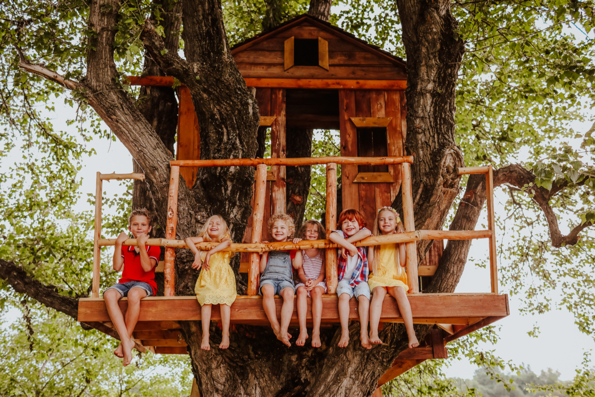 des enfants dans une cabane dans les arbres