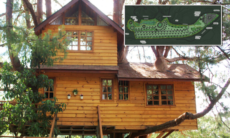 Une maison dans les arbres