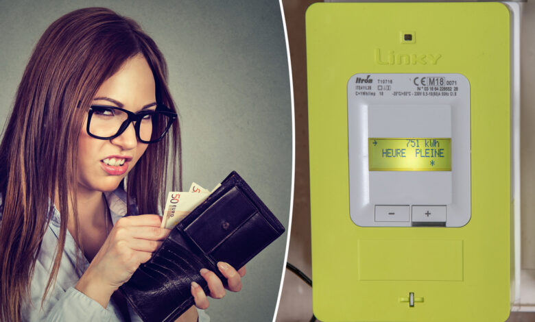 Une femme avec des euros et le compteur Linky