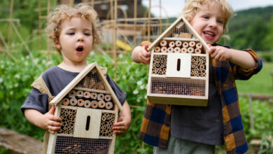 deux enfants avec des hôtels à insectes