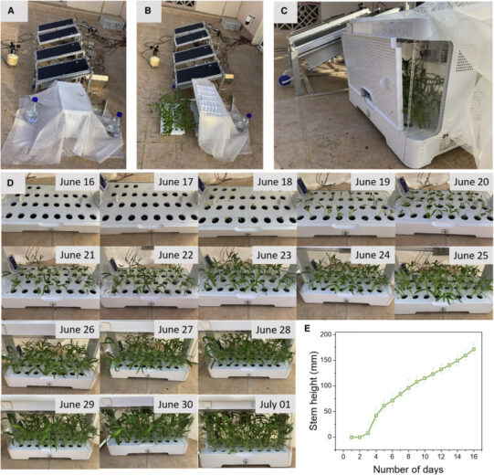 Des panneaux solaires qui produisent de l'eau potable