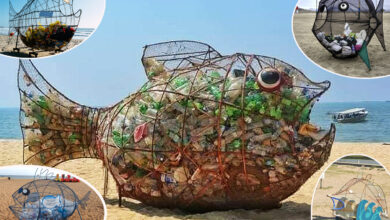 Des poissons poubelles