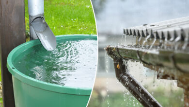 un bac vert pour récupérer l'eau de pluie de la toiture