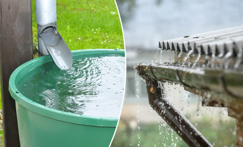 un bac vert pour récupérer l'eau de pluie de la toiture