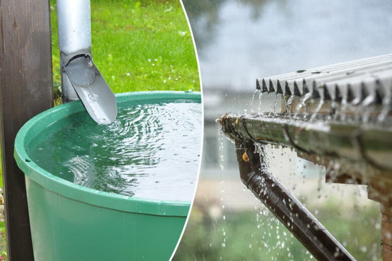 Un bac vert pour récupérer l'eau de pluie de la toiture