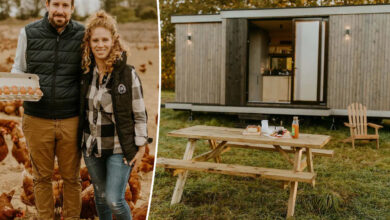 Une tiny house à la ferme