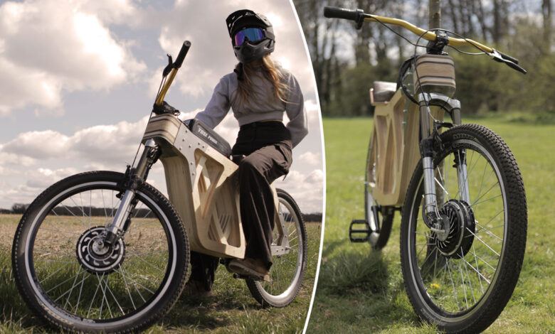 Evie Bee et son vélo électrique Electraply