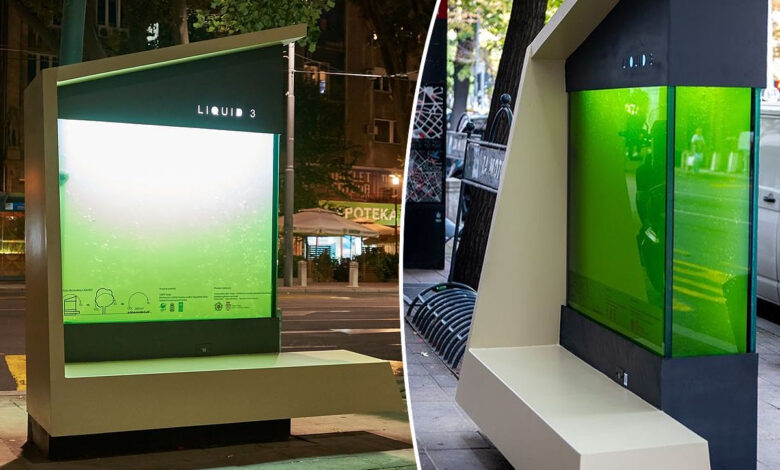 du mobilier urbain capture le CO2 et produit de l’oxygène