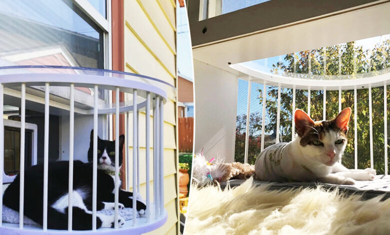 balcon pour chat
