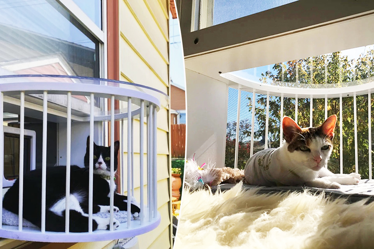 balcon pour chat