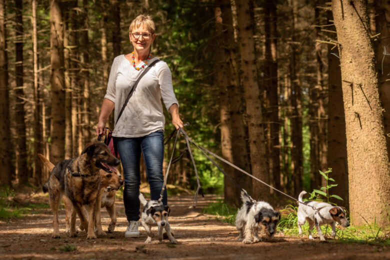 Une femme promène plusieurs chiens en laisse dans la forêt