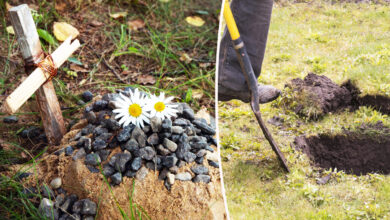 Enterrer un animal de compagnie dans son jardin