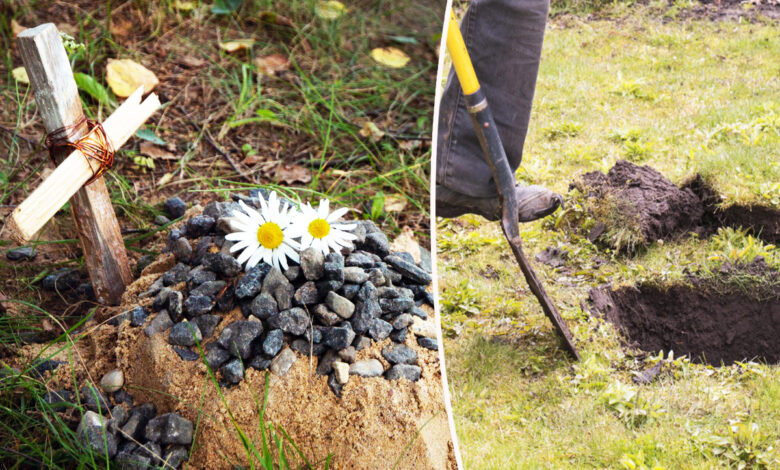Enterrer un animal de compagnie dans son jardin