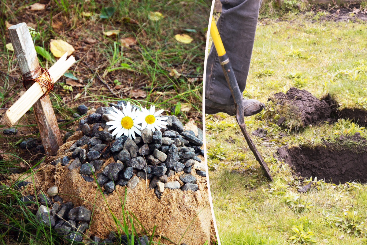 Enterrer un animal de compagnie dans son jardin