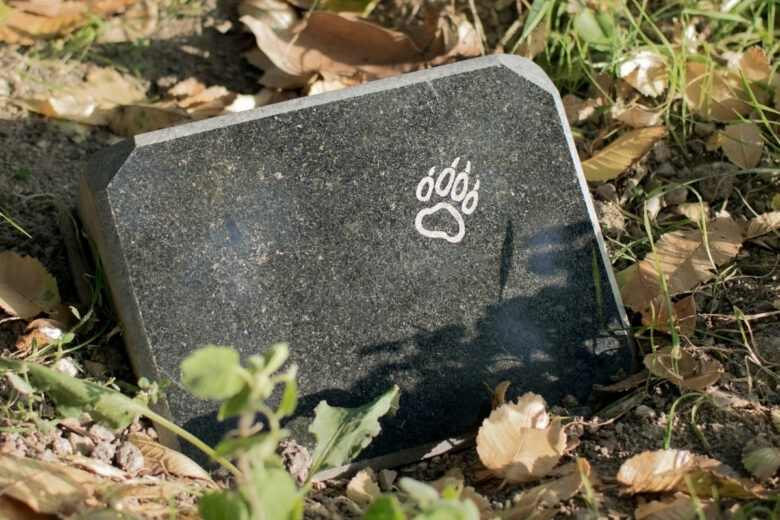 pierre tombale sur la tombe de l'animal