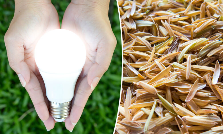 Une LED fabriquée avec de la balle de riz