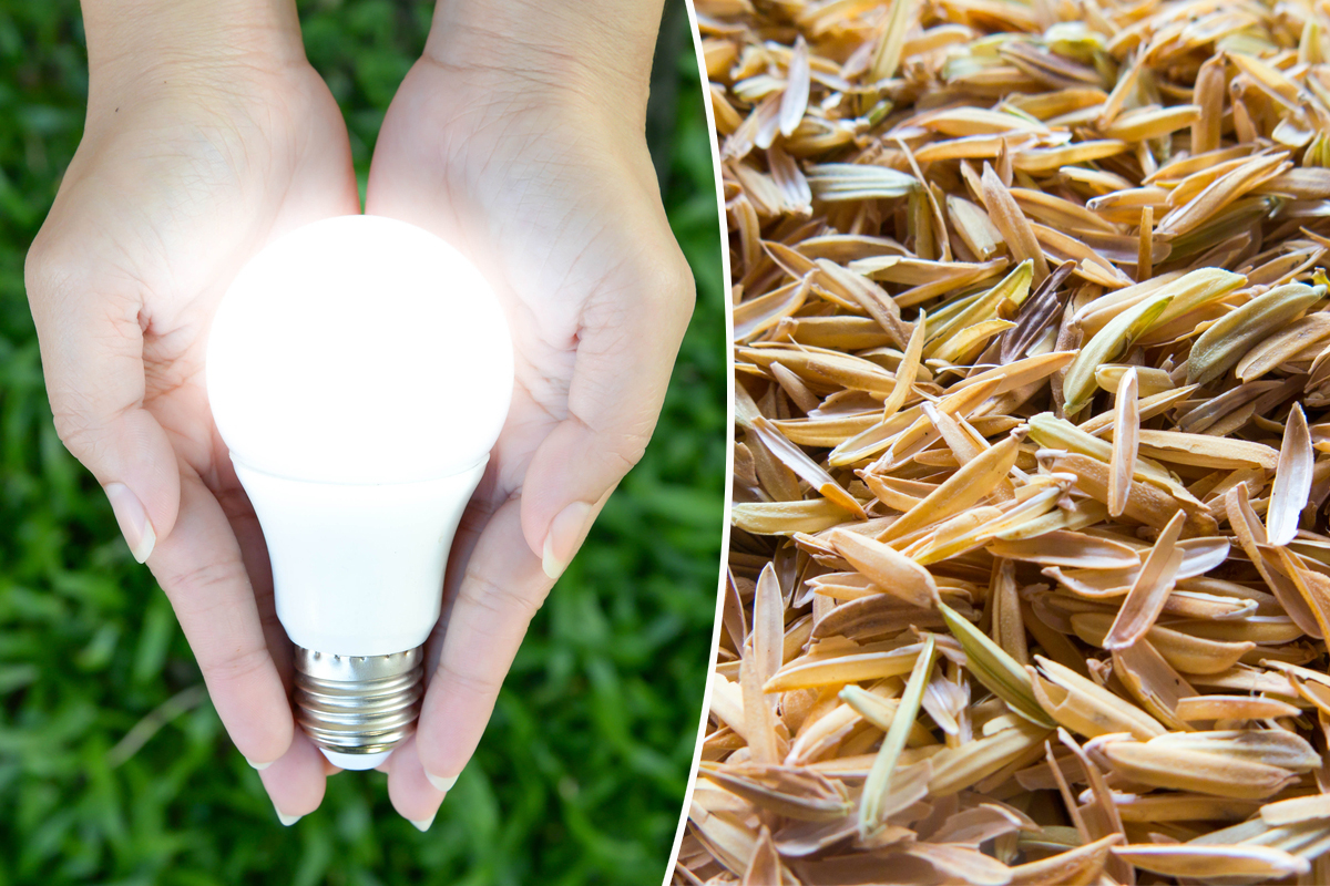 Une LED fabriquée avec de la balle de riz