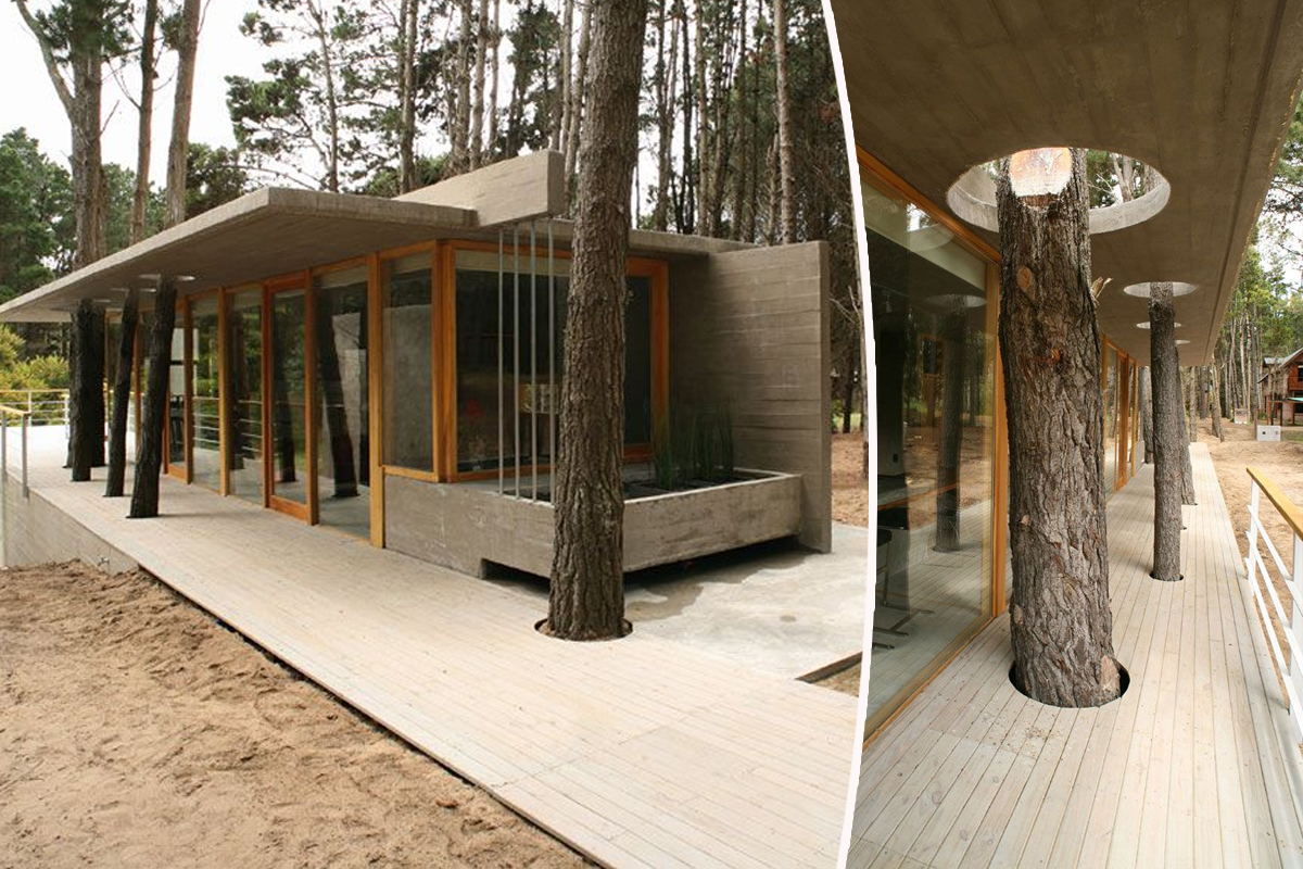 Une maison dans les arbres