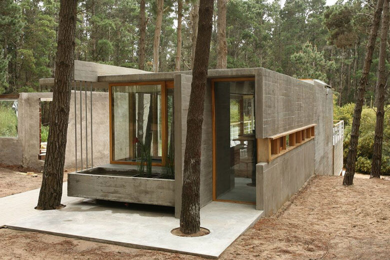 Les arbres traversent la maison