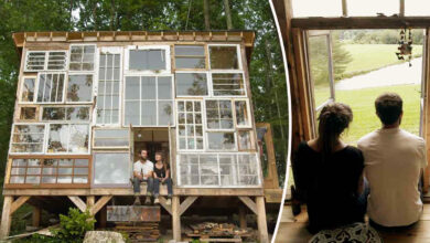 Une incroyable maison tout en fenêtres