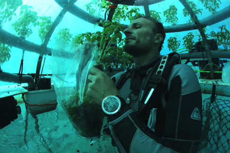 Une bulle sous-marine pour cultiver des fruits et des légumes