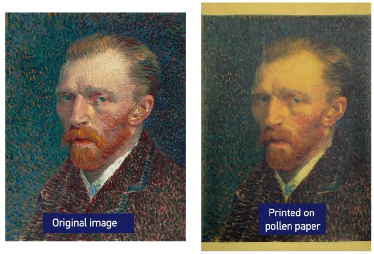 Comparatif d'impression sur papier classique et papier pollen