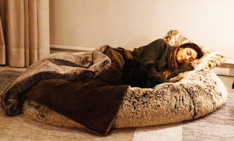 Plufl : le lit pour chien pour les humains
