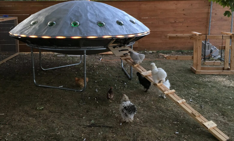 Un poulailler en forme de soucoupe volante