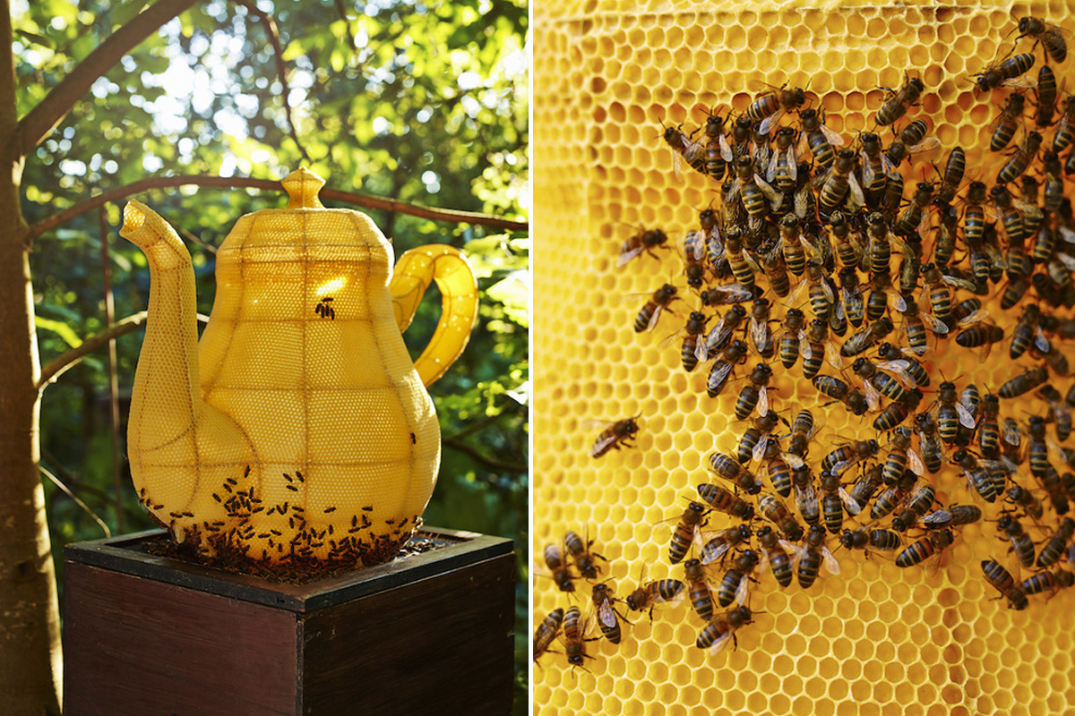Une théière sculptée par des abeilles