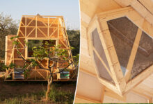 Une Tiny House avec des baeilles