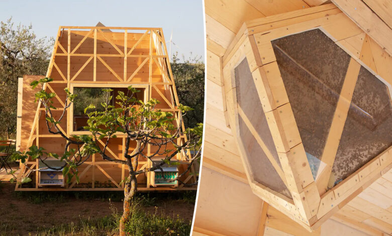 Une Tiny House avec des baeilles
