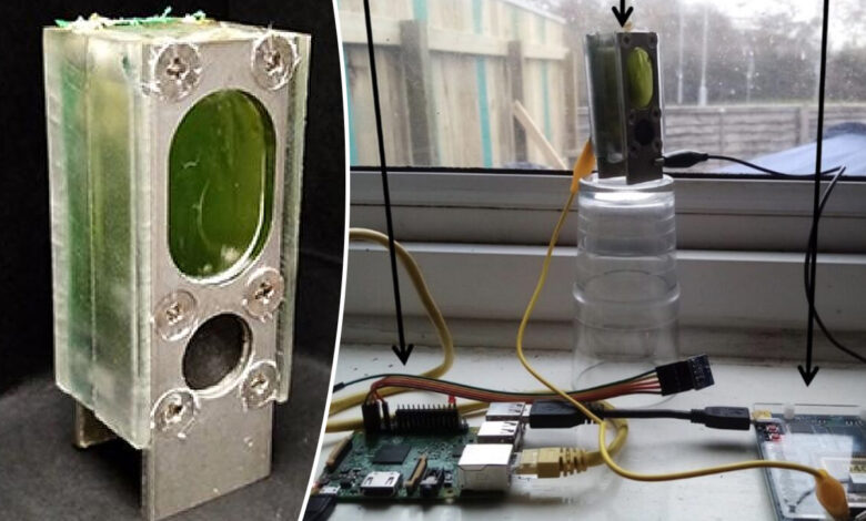 un ordinateur fonctionnant avec une batterie à algues