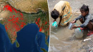 La canicule en Inde