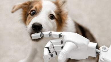 Une main de robot qui caresse un chien