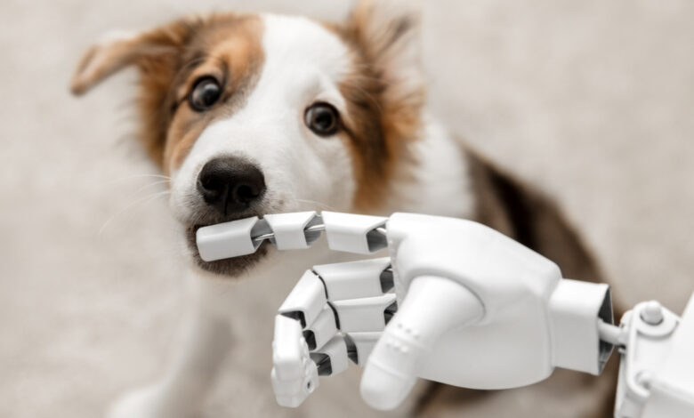 Une main de robot qui caresse un chien